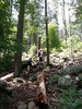 photo thumbnail #9