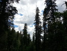 photo thumbnail #10