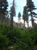 photo thumbnail #12