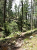 photo thumbnail #15