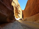 photo thumbnail #13