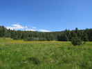 photo thumbnail #10
