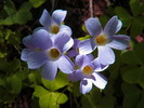 photo thumbnail #12