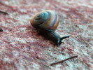 photo thumbnail #13