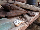 photo thumbnail #5