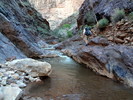 photo thumbnail #10