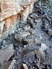 photo thumbnail #14