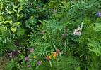 photo thumbnail #9
