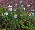 photo thumbnail #14