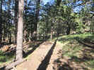 photo thumbnail #3