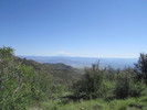 photo thumbnail #14