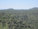 photo thumbnail #15