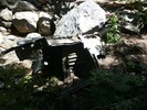 photo thumbnail #1