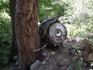 photo thumbnail #4