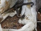 photo thumbnail #7