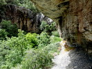 photo thumbnail #15