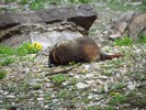 photo thumbnail #6