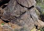photo thumbnail #6