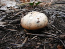 photo thumbnail #9