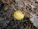 photo thumbnail #10