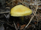 photo thumbnail #11