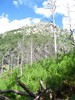 photo thumbnail #6