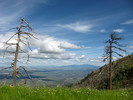 photo thumbnail #11