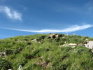 photo thumbnail #13