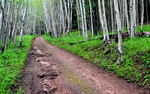 photo thumbnail #6