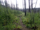 photo thumbnail #2