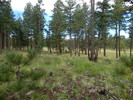 photo thumbnail #8