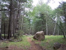 photo thumbnail #1