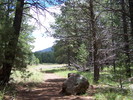 photo thumbnail #3