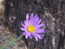 photo thumbnail #10