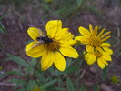 photo thumbnail #14