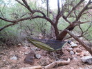 photo thumbnail #11
