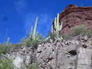 photo thumbnail #15
