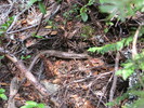 photo thumbnail #15