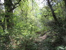 photo thumbnail #4