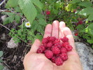 photo thumbnail #6