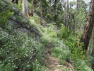 photo thumbnail #7