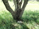 photo thumbnail #2