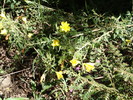 photo thumbnail #11