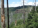 photo thumbnail #13
