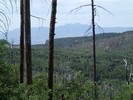 photo thumbnail #14