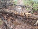 photo thumbnail #14
