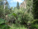 photo thumbnail #7