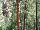 photo thumbnail #10