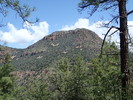 photo thumbnail #12