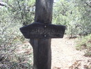 photo thumbnail #15